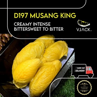 [Same Day Delivery] Pahang MSW Old Tree (500g Each Box) Durian